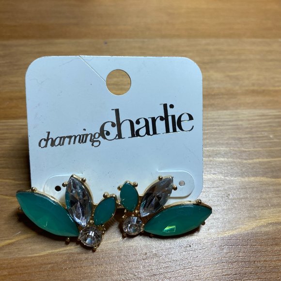 Six Piece Earring Set - Picture 12 of 12